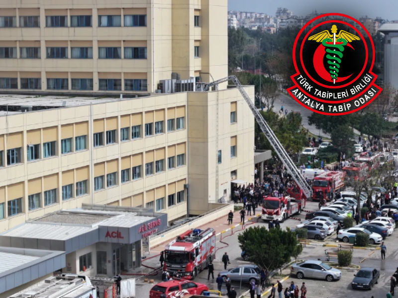 Bir alt başlık ekleyin (2)