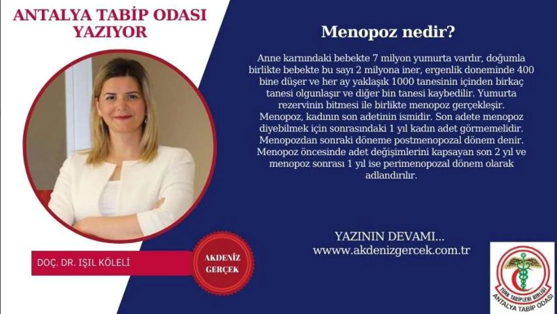 Ekran görüntüsü 2025-04-19 142247