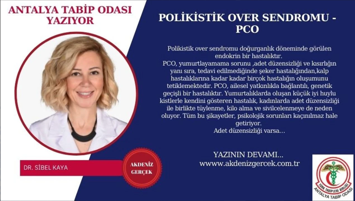 Ekran görüntüsü 2025-04-25 170719